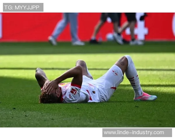 汉堡客场逆袭胜出RB莱比锡成功晋级下一轮 汉堡客场逆袭胜出RB莱比锡成功晋级下一轮