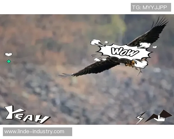 老鹰展翅高飞,稳定防守与出色进攻击败骑士 老鹰展翅高飞,稳定防守与出色进攻击败骑士