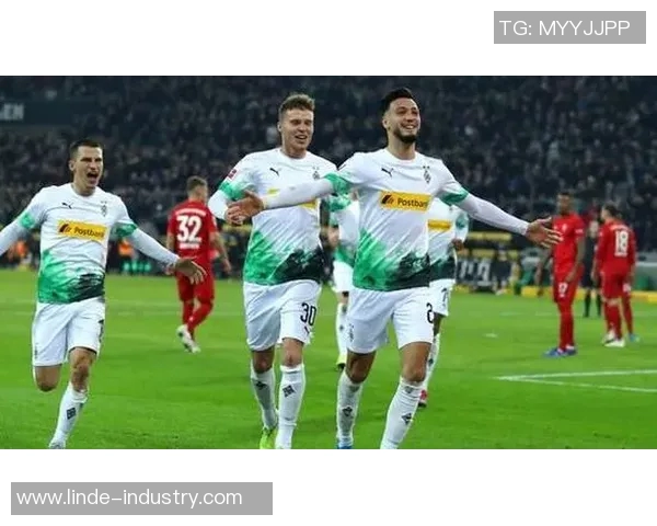 门兴克虎宽恩州主场轻取柏林赫塔,实现联赛三连胜 门兴克虎宽恩州主场轻取柏林赫塔,实现联赛三连胜