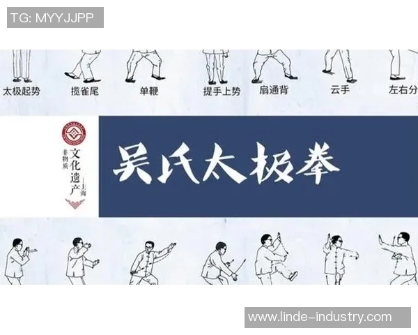 太极拳85式拳谱详解与练习指导助你掌握传统武术之美