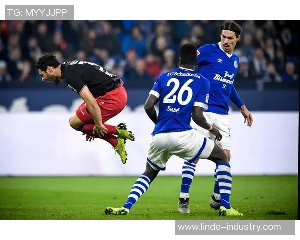 沙尔克04客场击败弗赖堡，德甲前十再现辉煌！